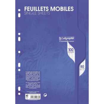 feuillets-mobiles-calligraphe-100p-a4-80g-seyes-s-film-blanc