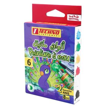 PEINTURE A EAU DE 06 COULEURS MOTIF STANDARD VIOLET "TECHNO" REF: 0126