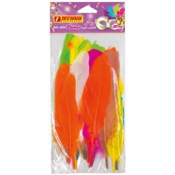 PLUMES DE DECORATION PAQUET 20 PIECES "TECHNO" REF: 5030