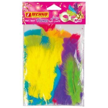 PLUMES DE DECORATION PAQUET 30 PIECES "TECHNO" REF: 5031